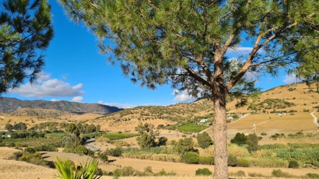 Finca met 3 slaapkamers in Pizarra