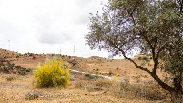 Kavel in Estación de Cártama