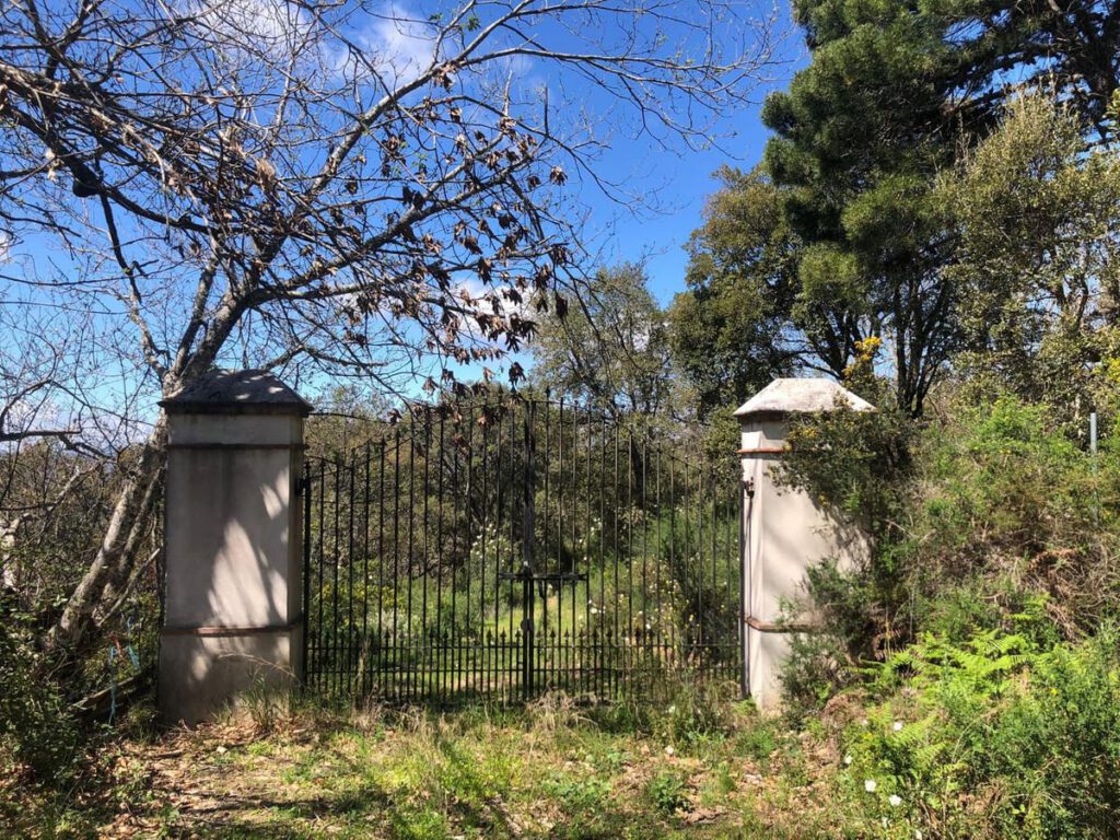 Kavel in Gaucín te koop – twee kavels, totaal 83.000 m2 in Gaucín - hoofdfoto