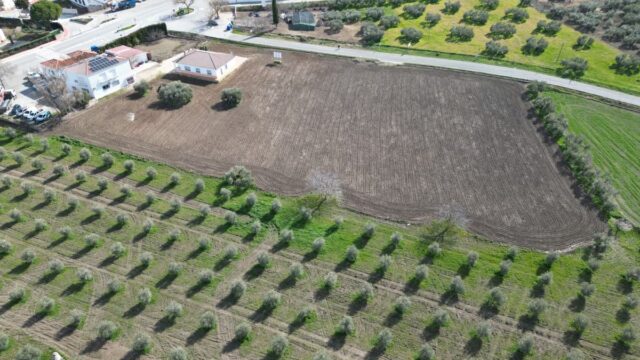 Bouwkavel met 31 kavels, wegen en groenvoorzieningen in Cuevas del Becerro (8191 m2)