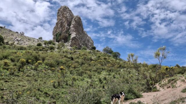 Kavel in Alfarnatejo – Natuurlijk paradijs te koop