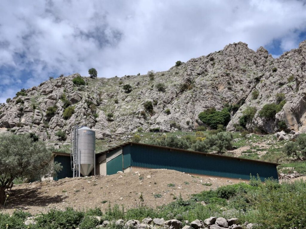 Kavel in Alfarnatejo (Montes de Málaga) – 68 hectare in Alfarnatejo - hoofdfoto
