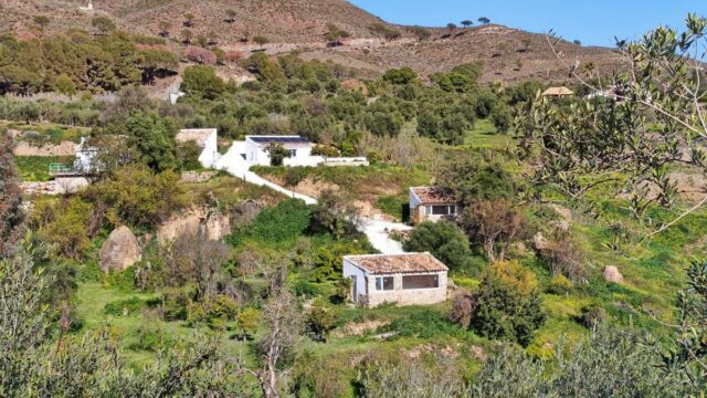 4-slaapkamer finca in Casarabonela