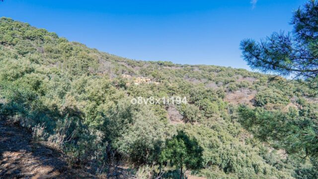 Finca met 5 slaapkamers in Jubrique, Málaga