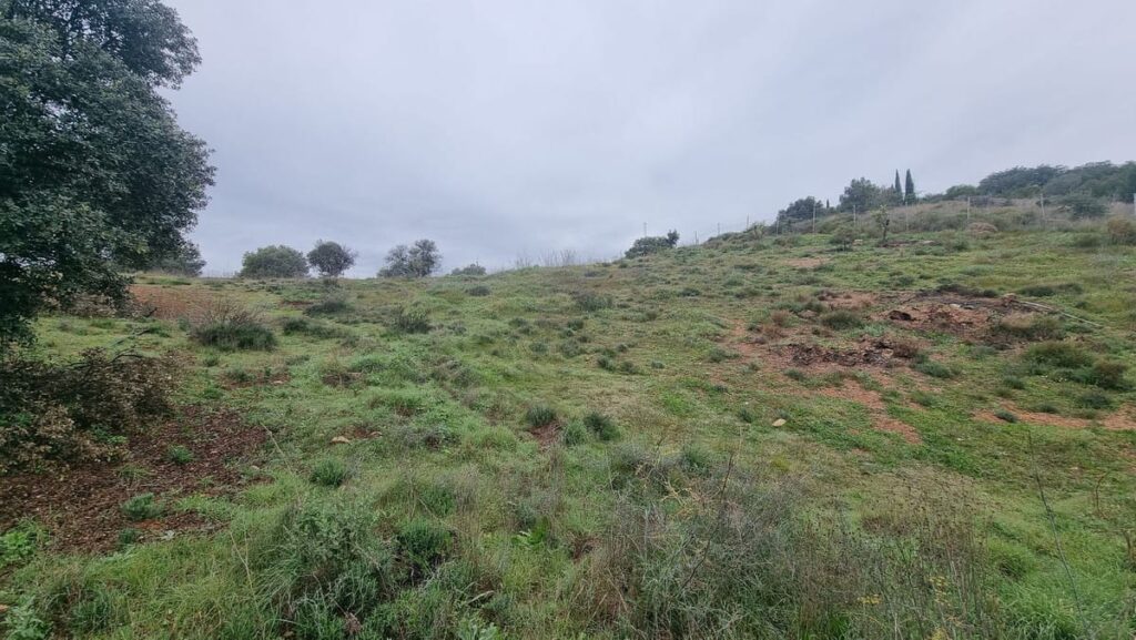 Kavel te koop in Coín, Málaga in Coín - hoofdfoto