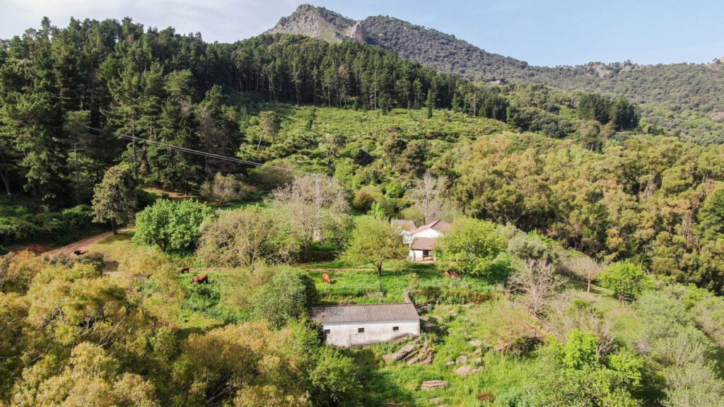 Finca met 3 slaapkamers in Gaucín in Gaucín - hoofdfoto