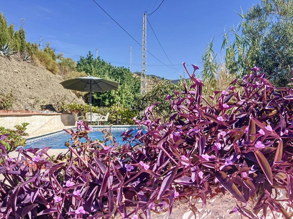 3-slaapkamerwoning in Sedella in Sedella - hoofdfoto
