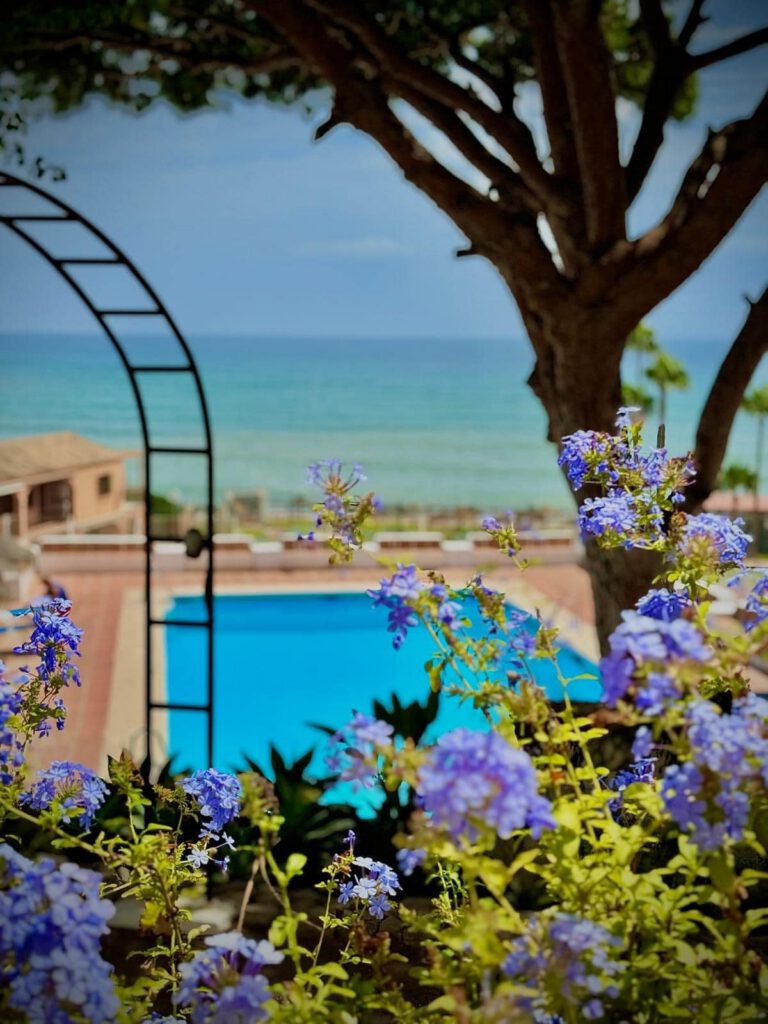 Appartement met 2 slaapkamers in Calahonda (Málaga) in Calahonda - hoofdfoto