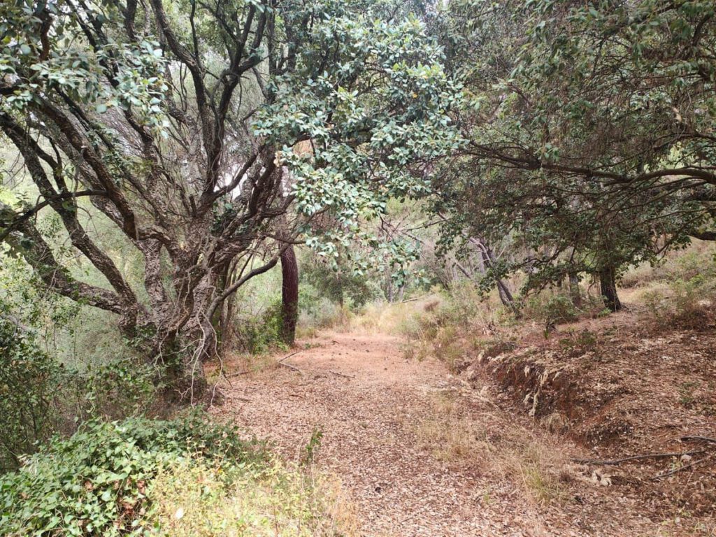 Kavel in Istán, Málaga in Istán - hoofdfoto