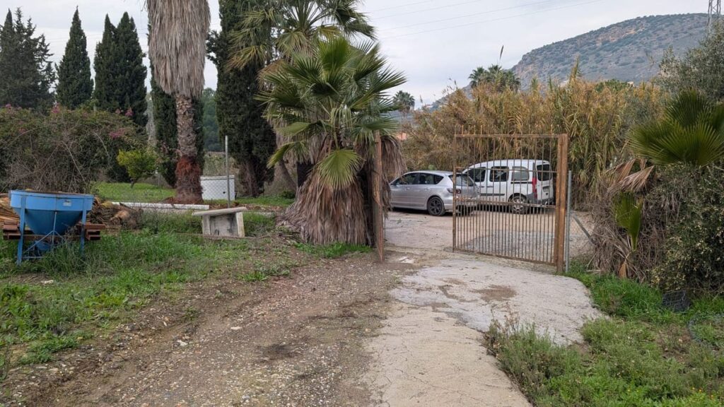 Kavels met pecan- en walnootbomen te koop in Campiñuela, Alhaurín el Grande (Málaga) in Alhaurín el Grande - hoofdfoto