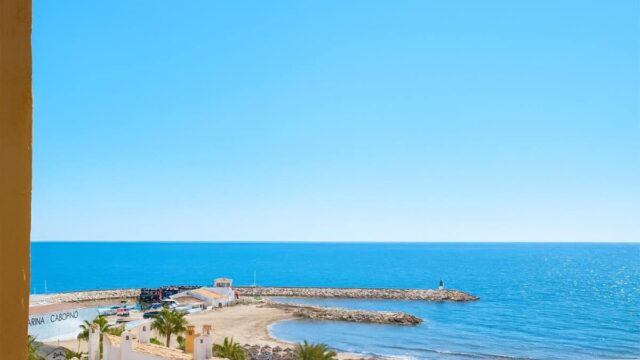 1-slaapkamerappartement in Puerto de Cabopino