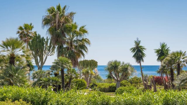 Drie-slaapkamer appartement aan het strand in Costalita