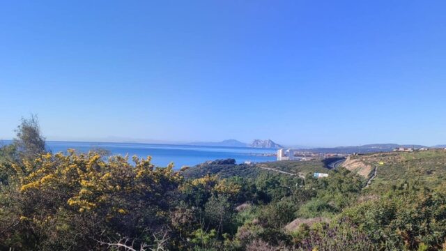 Kavel in San Diego, Cádiz