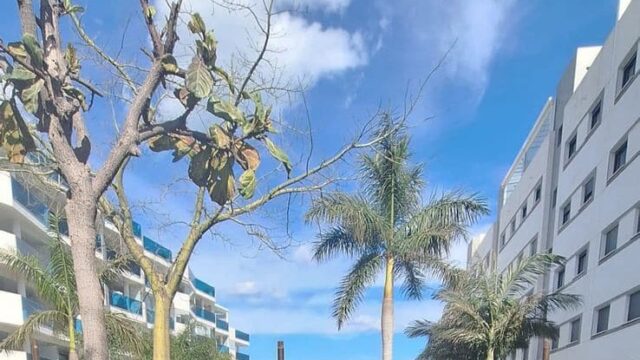 Appartement met twee slaapkamers in Las Lagunas