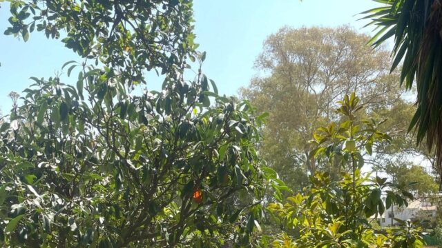 2-slaapkamer woning in Estepona