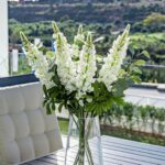 3 bedroom Apartment in Cancelada