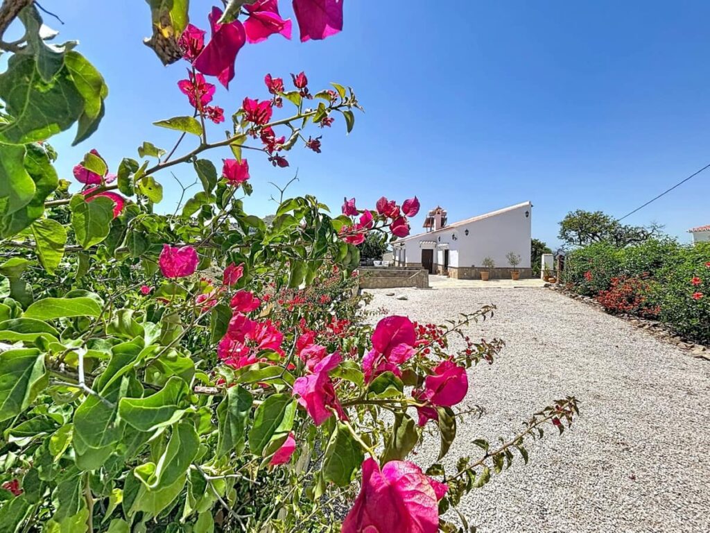 Villa met 3 slaapkamers in Canillas de Aceituno in Canillas de Aceituno - hoofdfoto