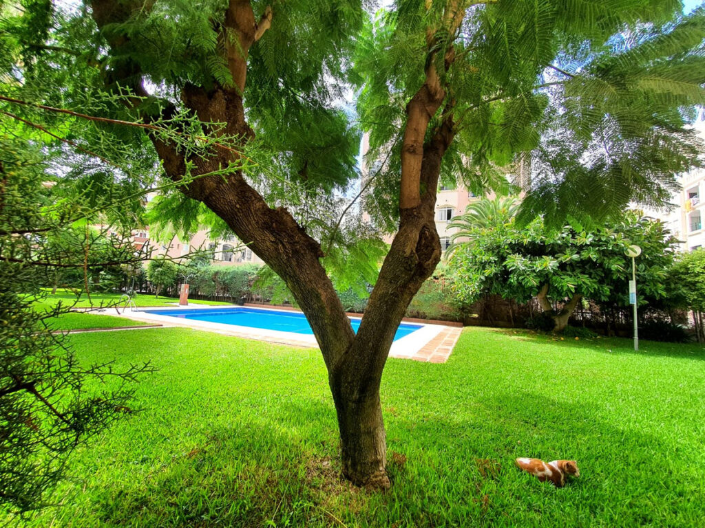 4-slaapkamer appartement te koop in Torremolinos in Torremolinos - hoofdfoto