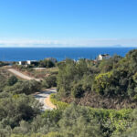 Plot in Altos De Los Monteros