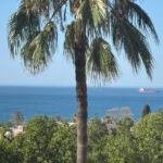3 bedroom Apartment in Málaga Este