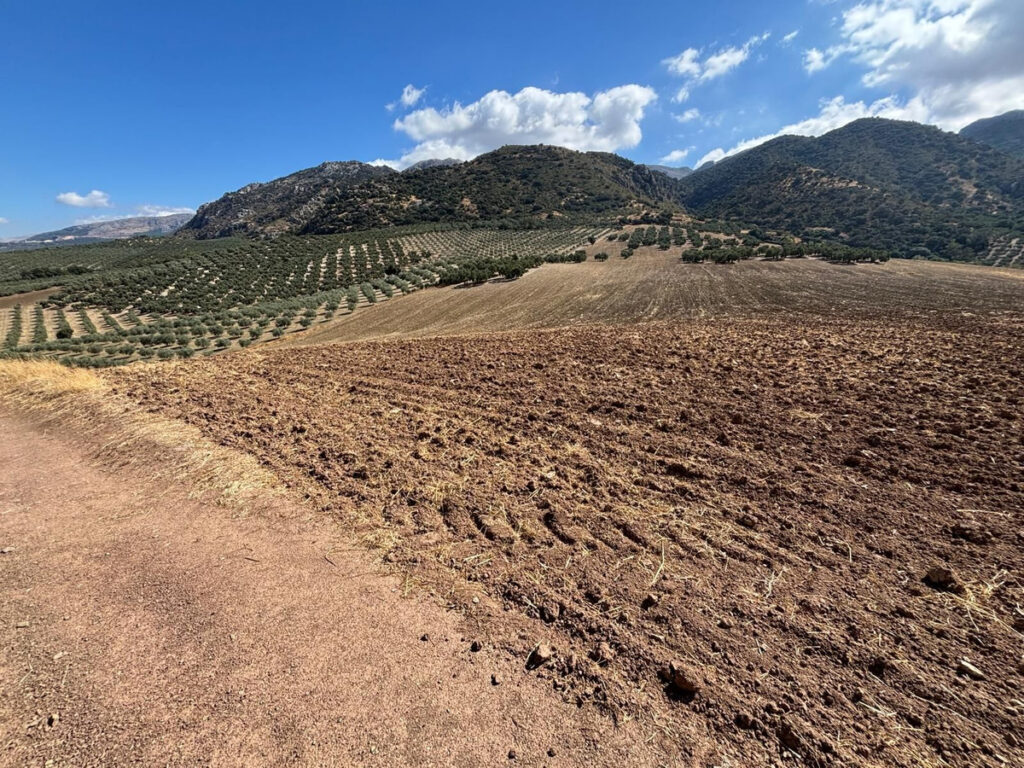 Plot in Antequera in Antequera - hoofdfoto